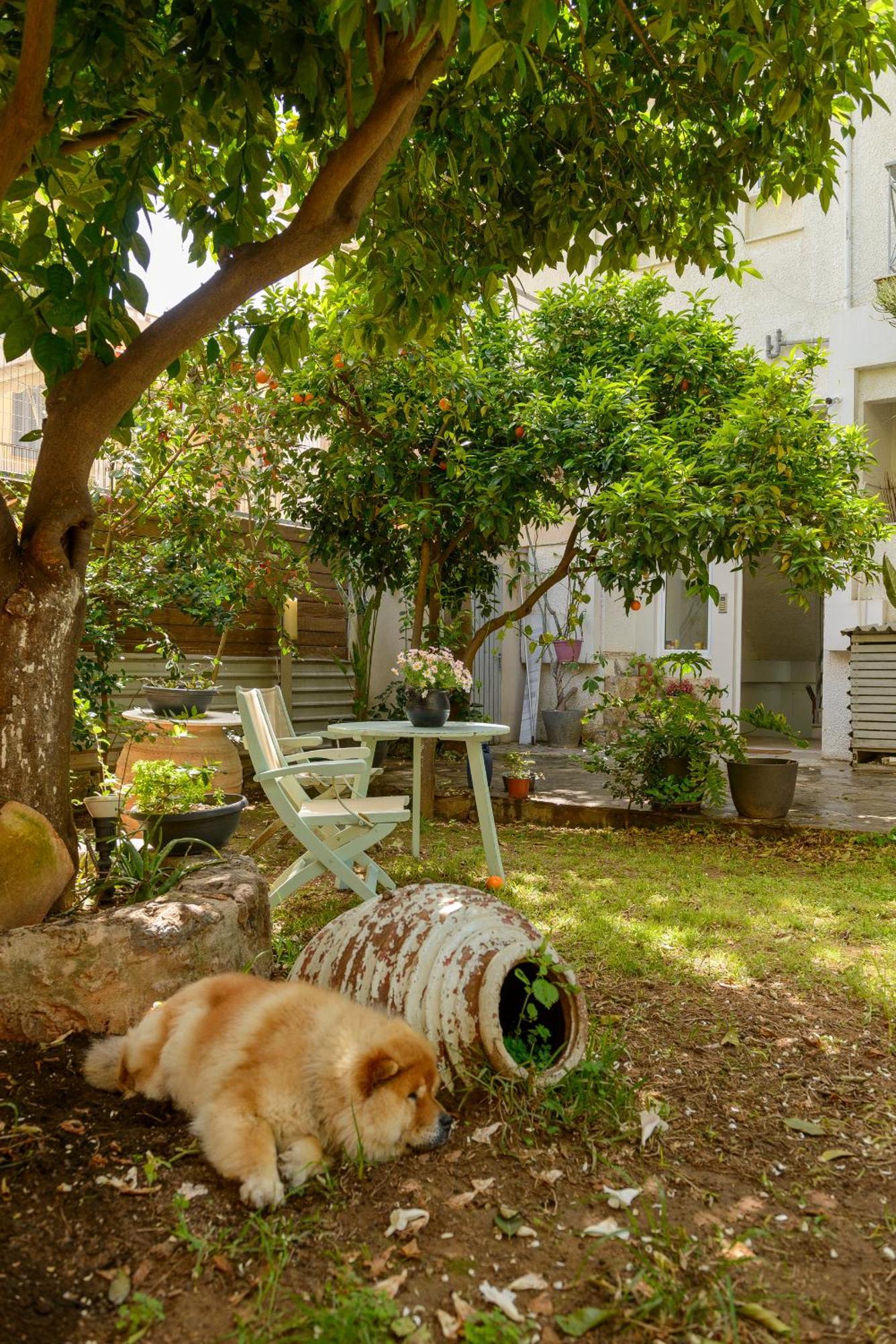 Agali 1 Mesonet In Front Of The Sea Apartment Akrogiali Exterior photo